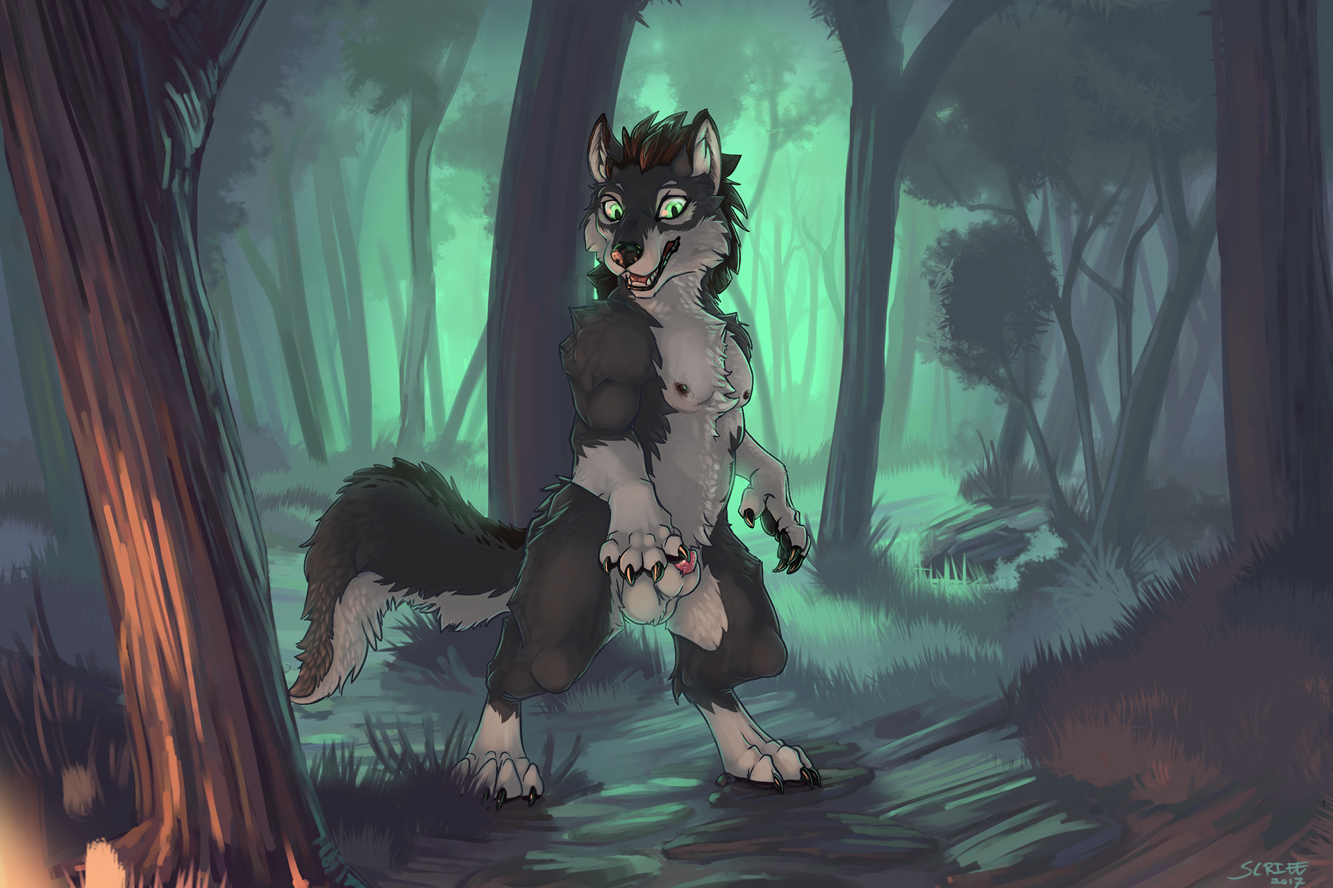 Jake the Werewolf