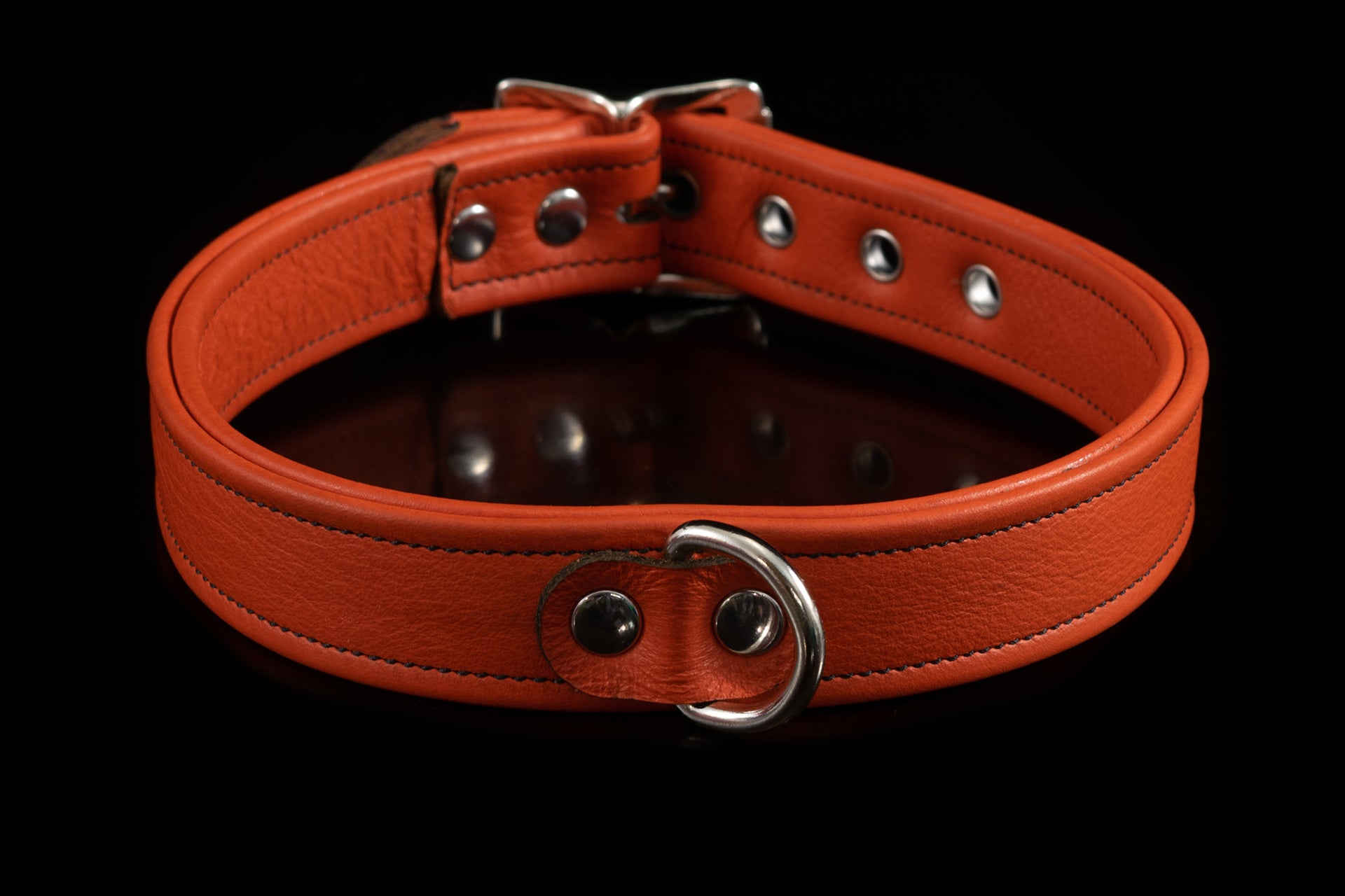 4423 Prismatic Leather Collar