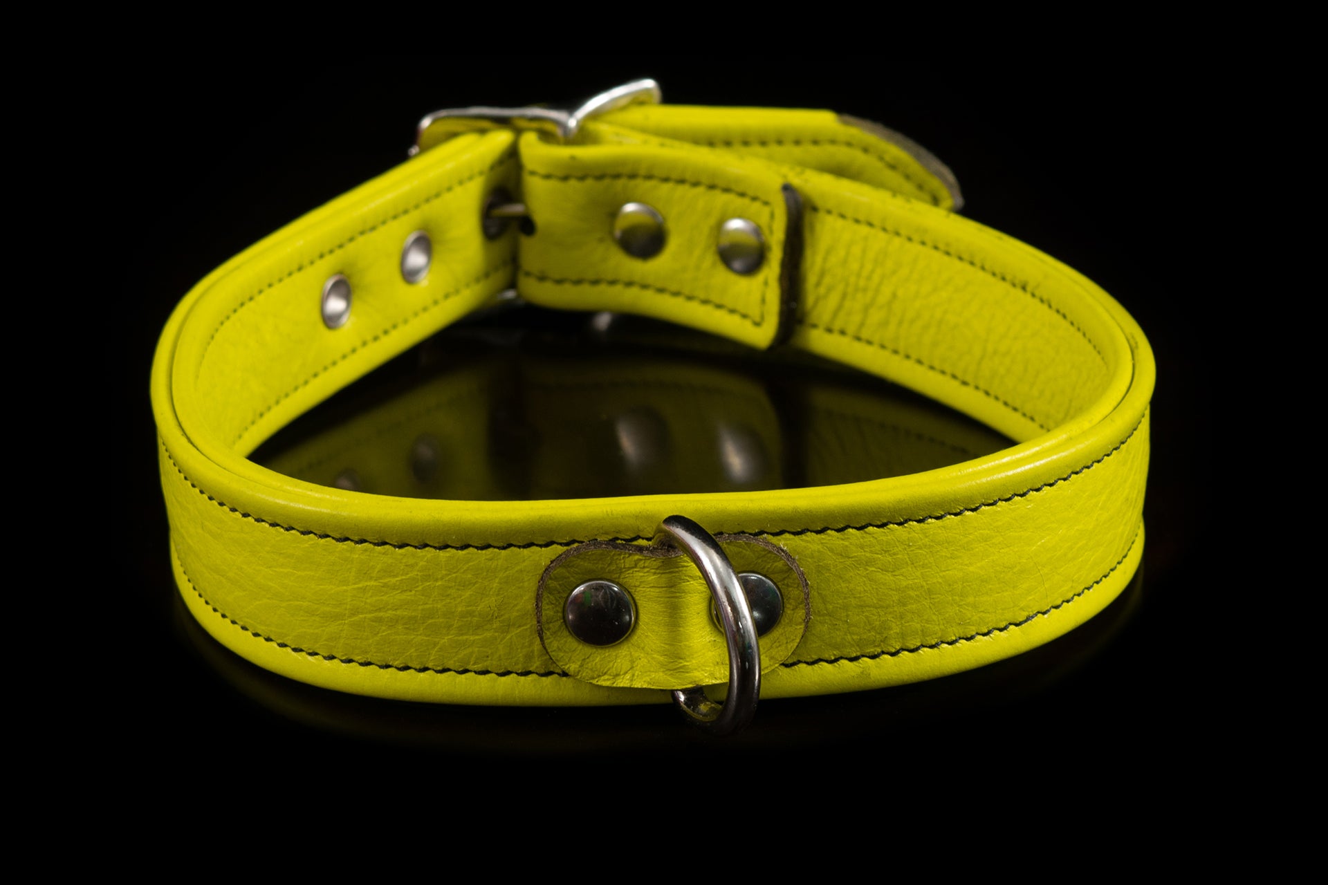 4430 Prismatic Leather Collar