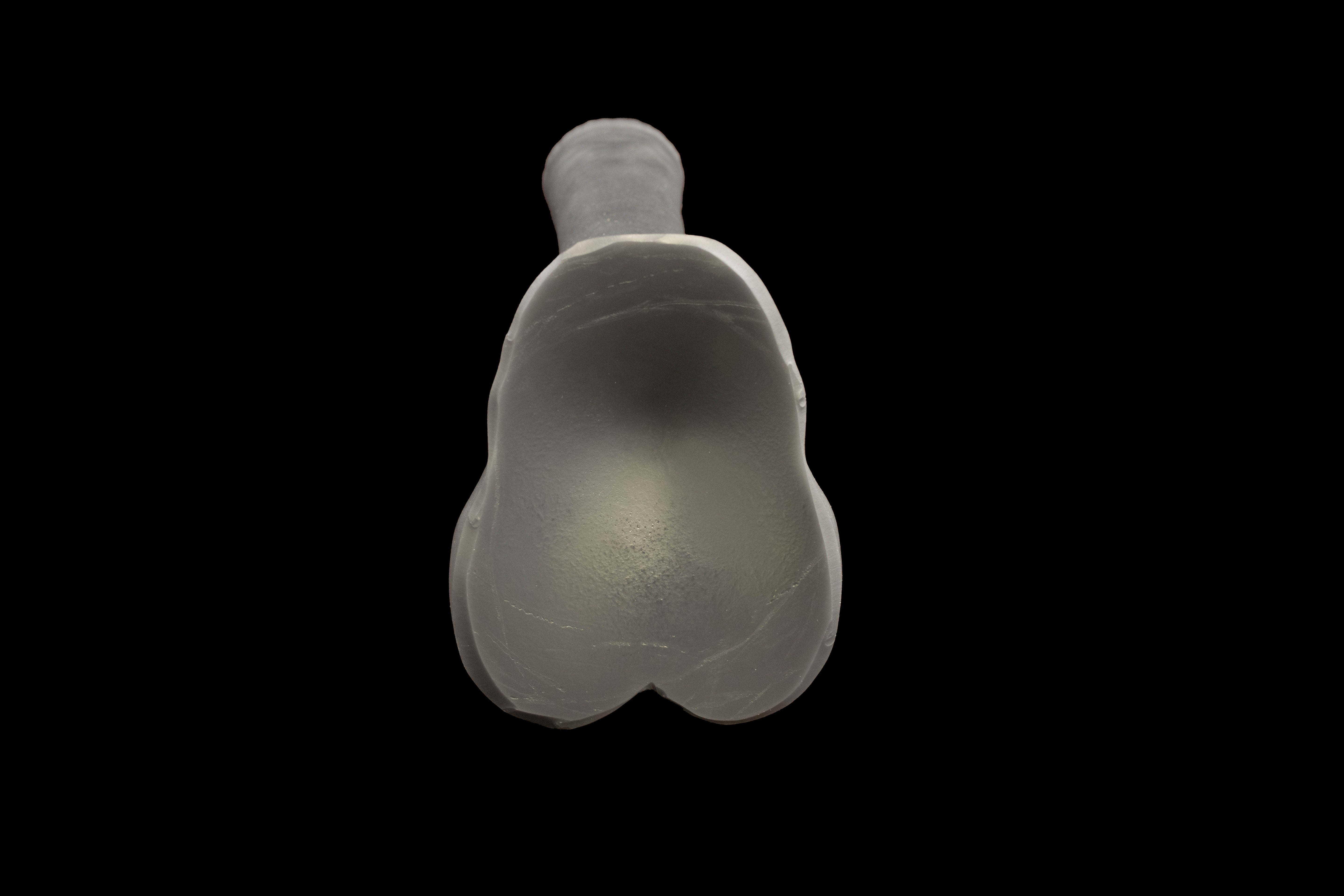 11499 Small Atlas in Medium Firmness with Suction Cup - Fizzle
