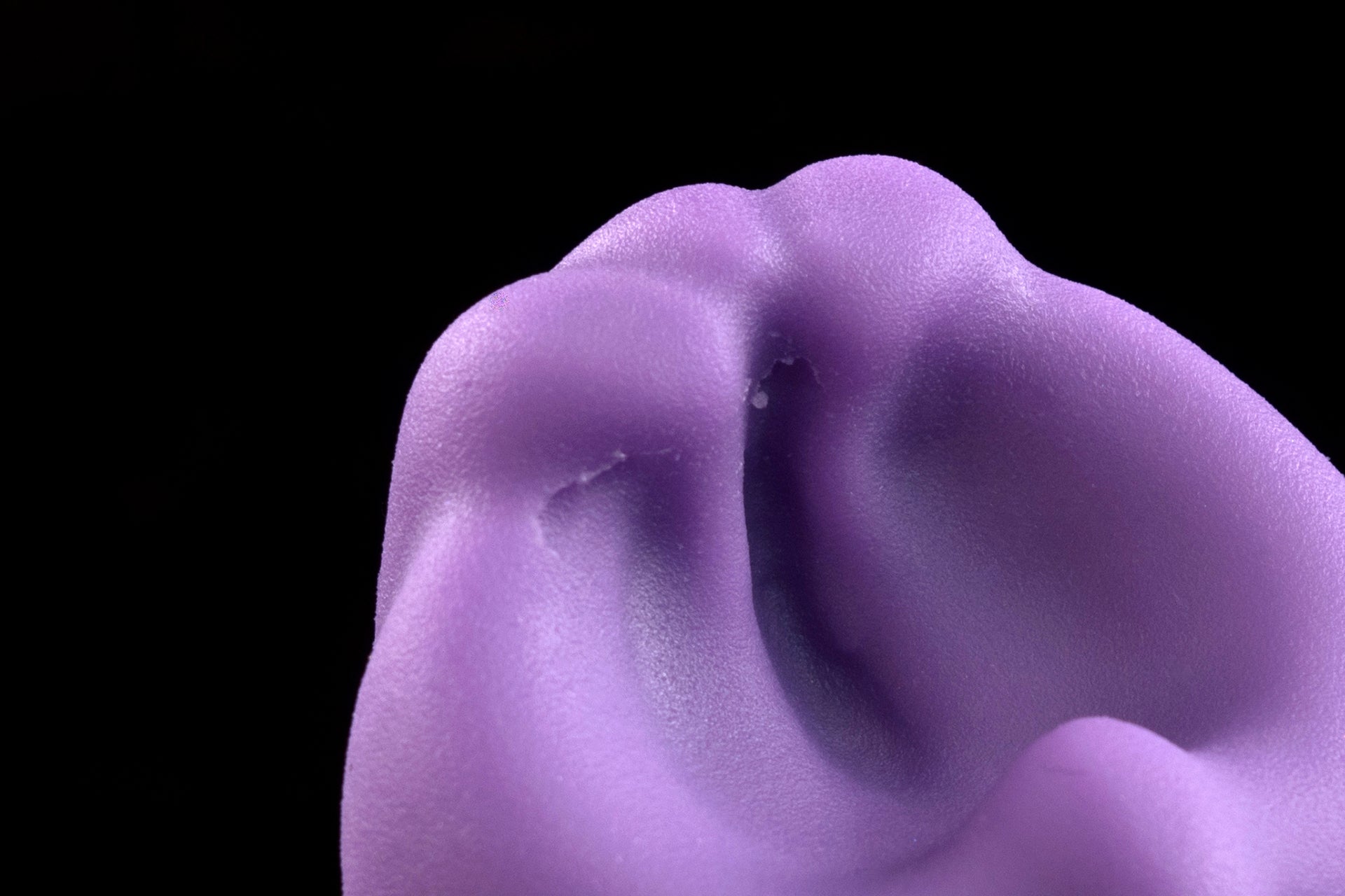 2920 Small Croxic in Medium Firmness - Fizzle