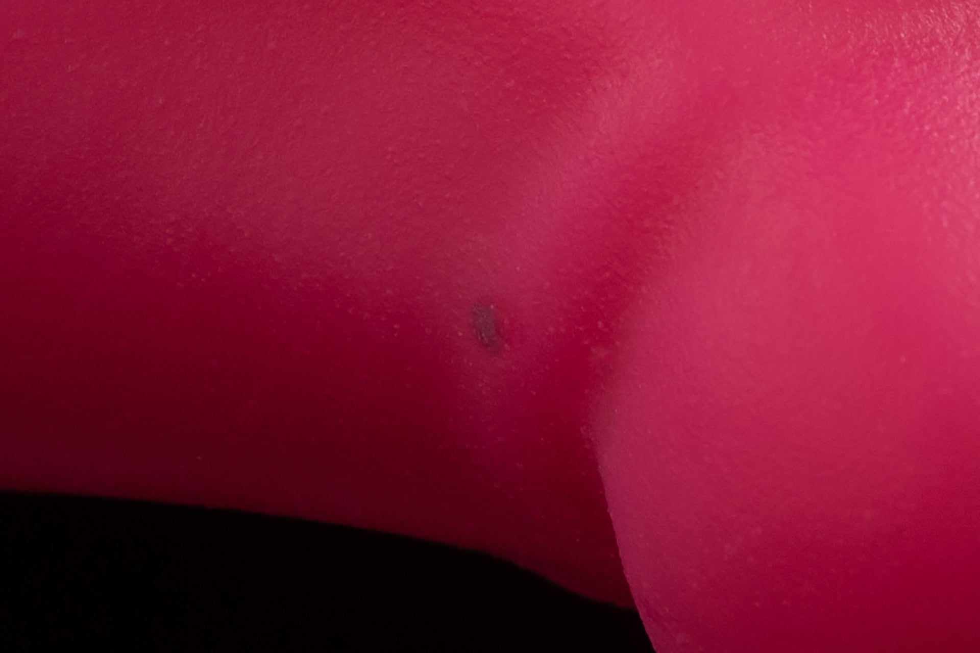 3743 Small Aela in Medium Firmness - Fizzle
