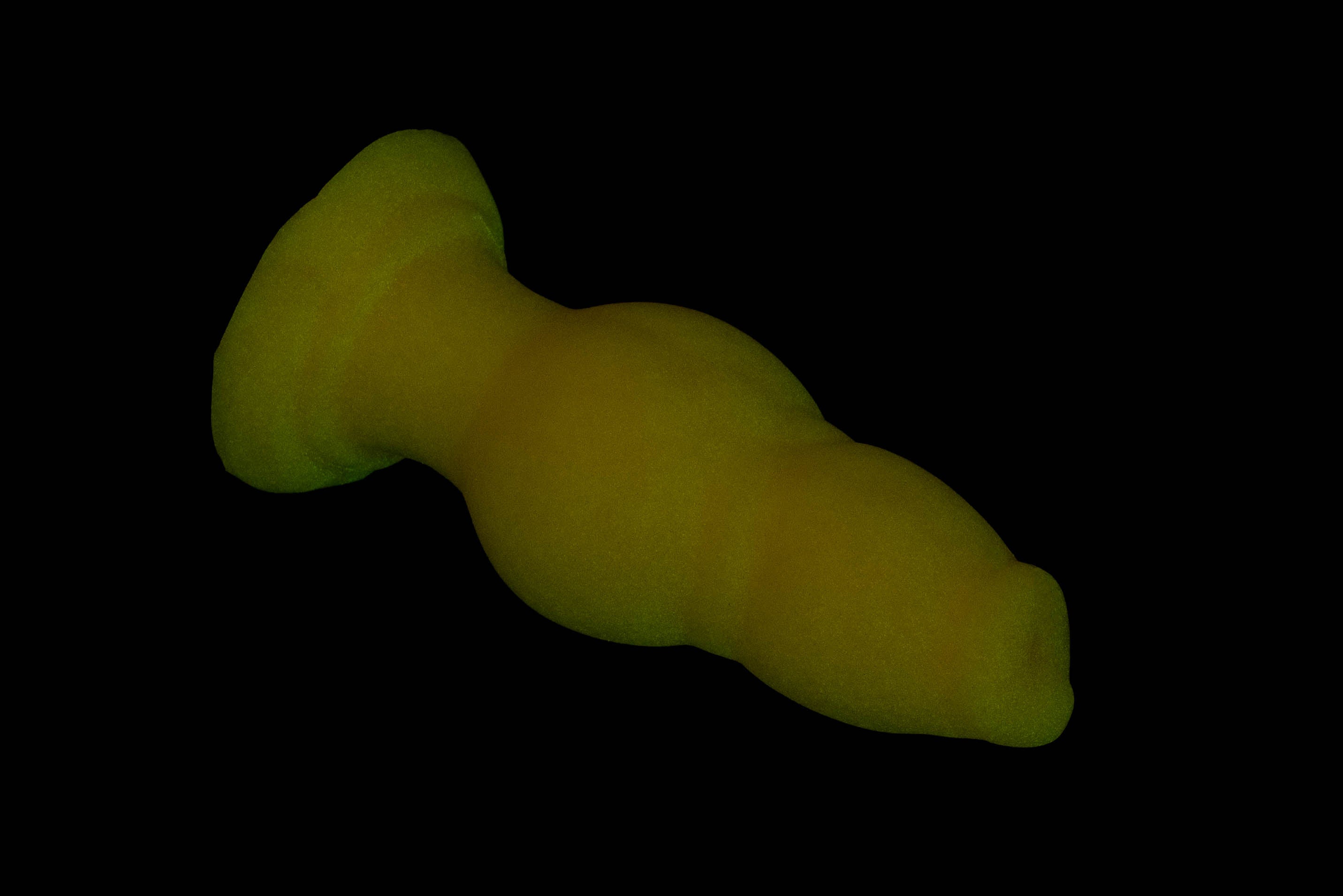 11388 Small Jake in Medium Firmness