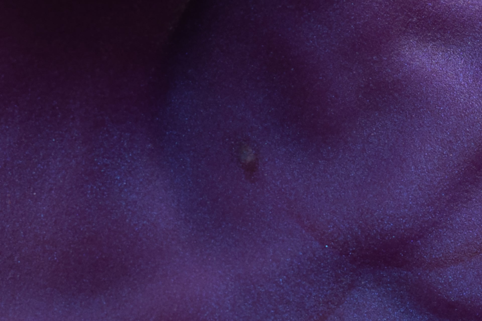 4204 Small Cortez in Soft Firmness - Fizzle
