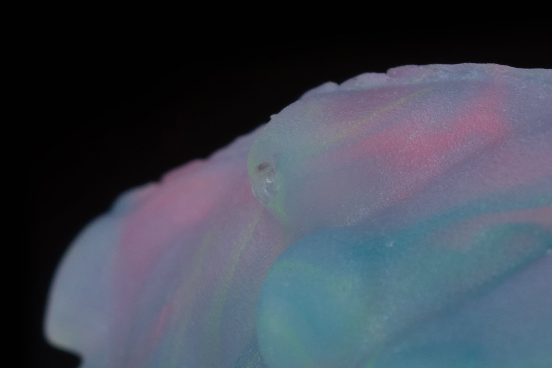 5207 Small Croxic in Soft Firmness - Fizzle