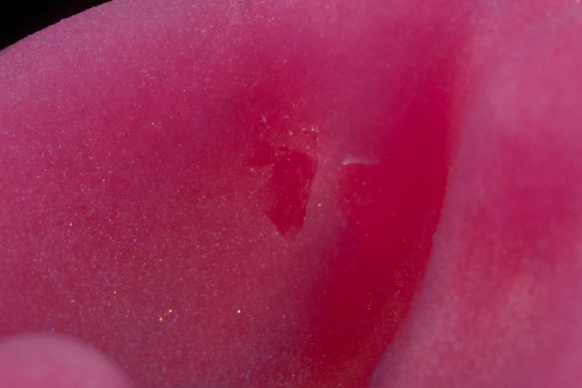 5401 Small Croxic in Soft Firmness - Fizzle