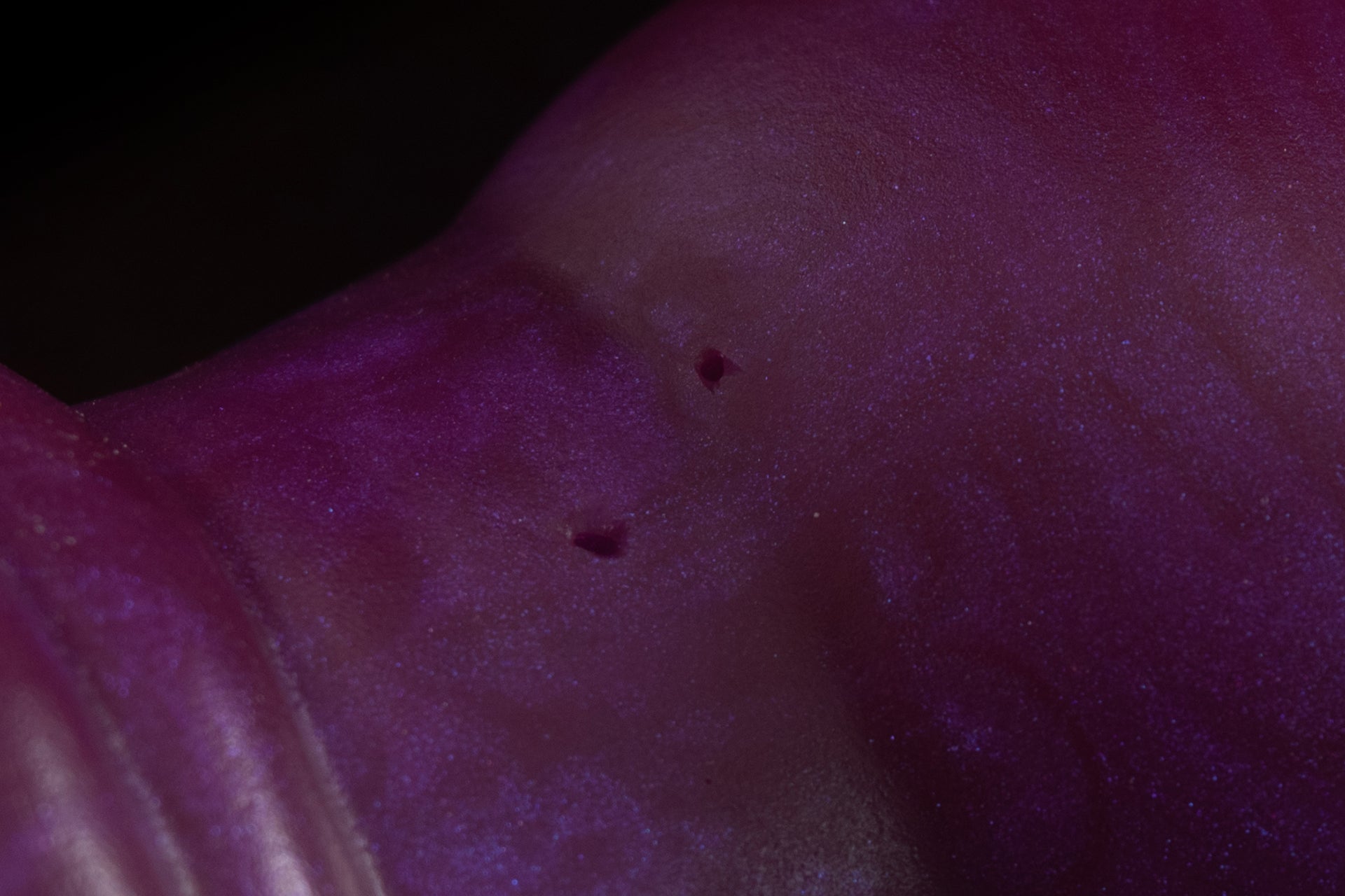 5522 Small Zane in Soft Firmness - Fizzle