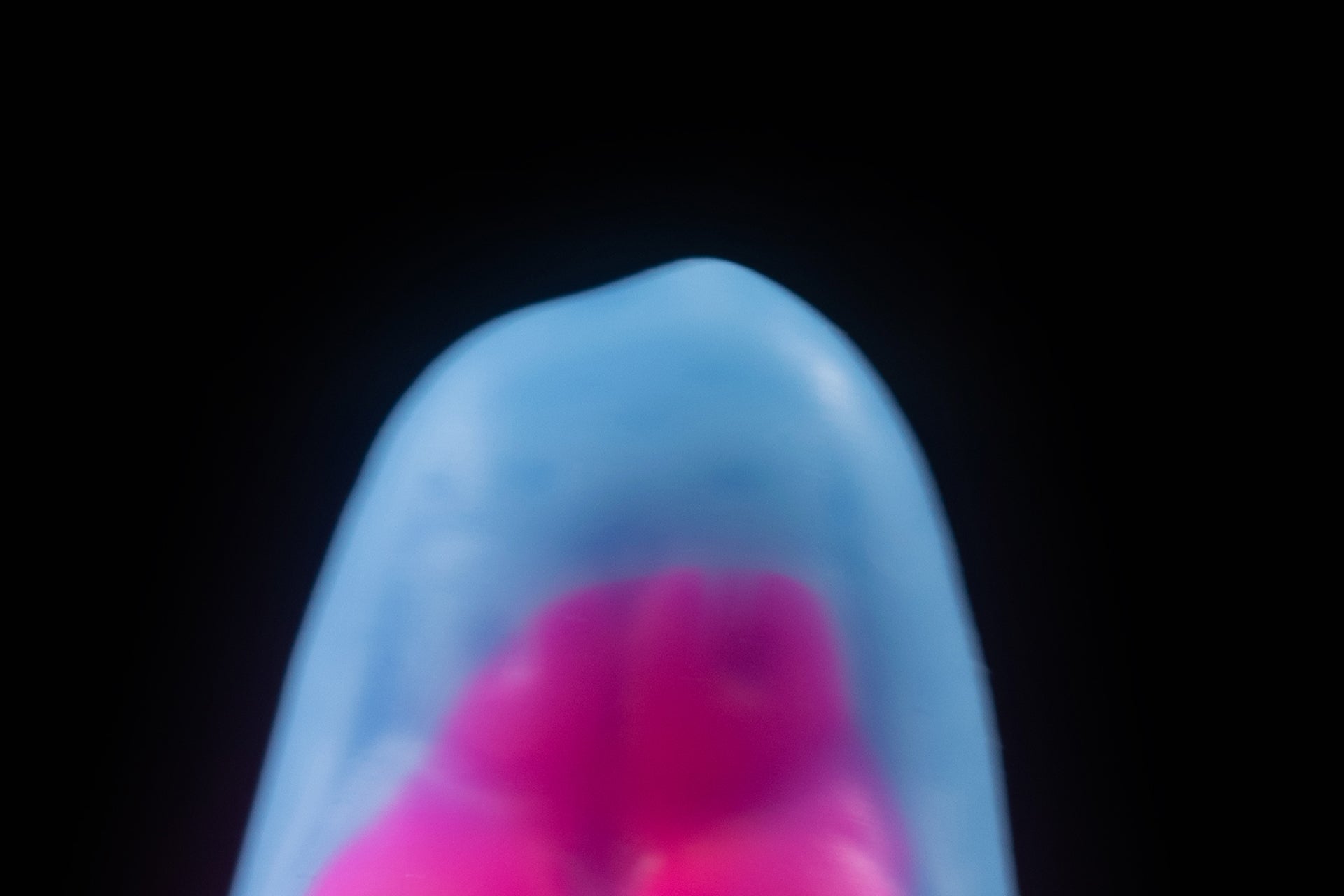 6246 Medium Slikk in Soft Firmness with Suction Cup - Fizzle