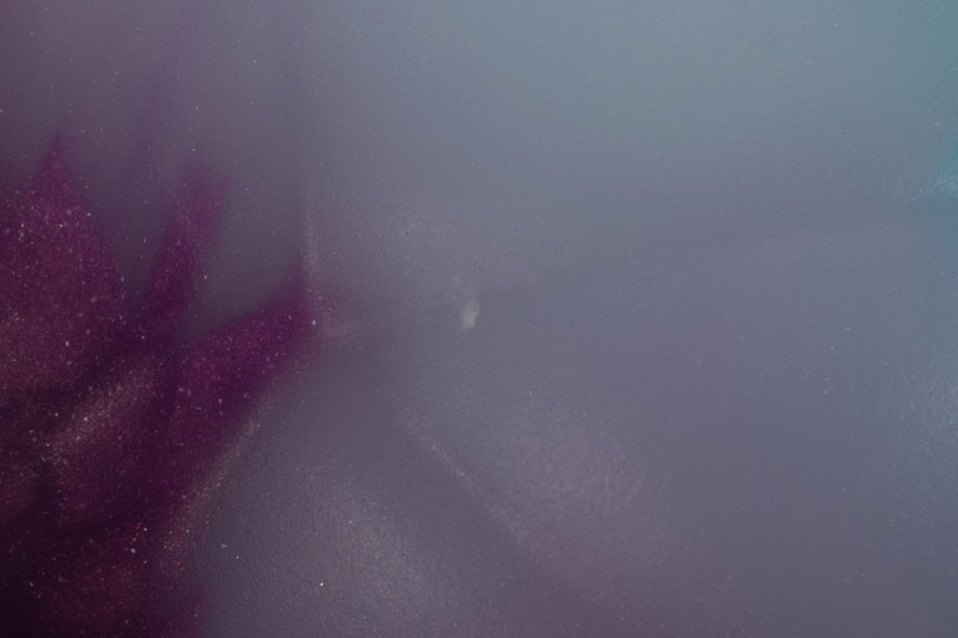 6478 Medium Zane in Medium Firmness - Fizzle
