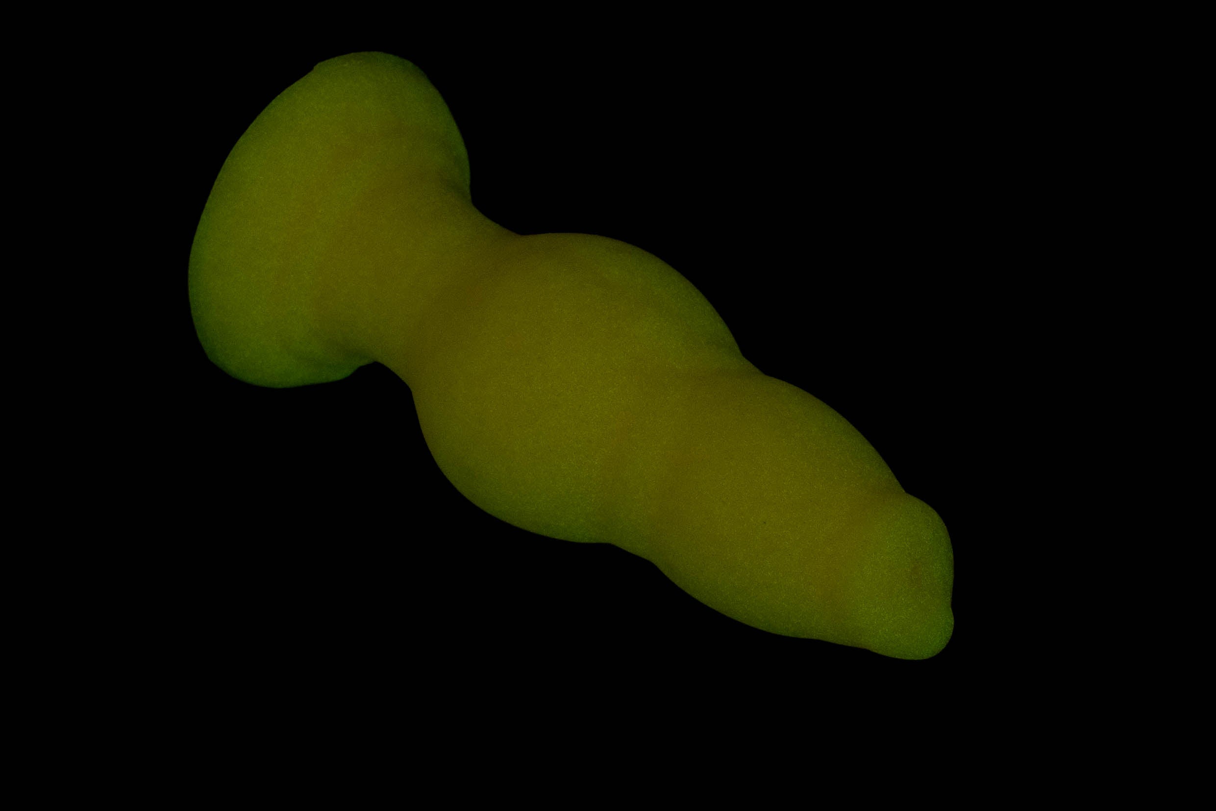 11393 Mini Jake in Medium Firmness