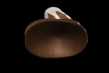 13232 Medium Ian in Medium Firmness - Fizzle