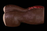 Kaleb Butt
