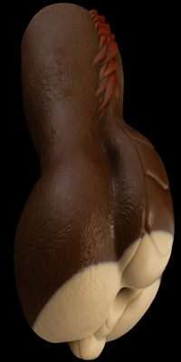 Kaleb Butt - Signature