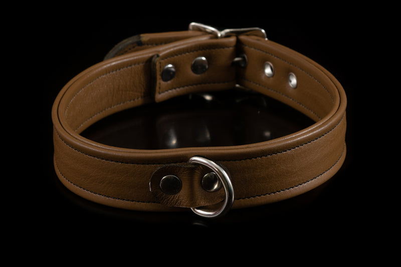 4433 Prismatic Leather Collar
