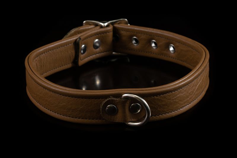 4434 Prismatic Leather Collar