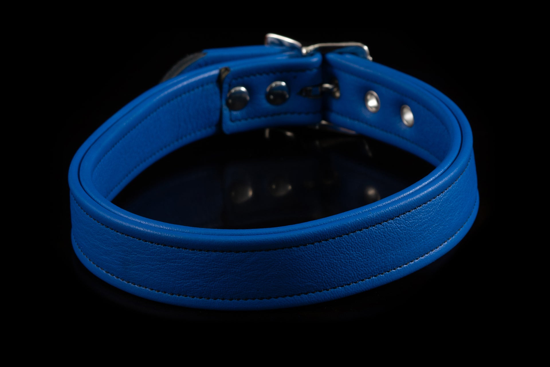 4432 Prismatic Leather Collar