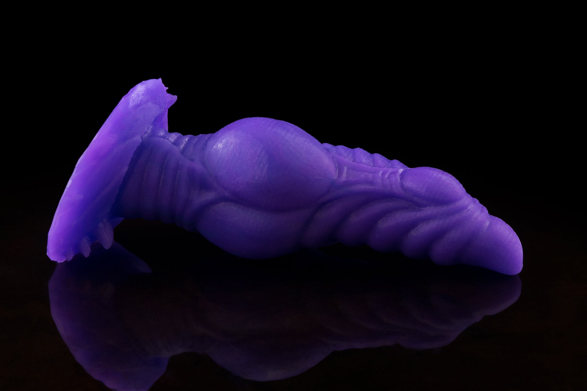 1910 Mini Cryolophosaurus in Medium Firmness