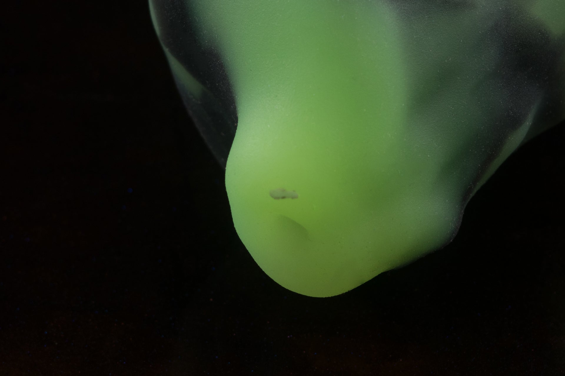 2232 Large Dante in Firm Firmness with Suction Cup - Fizzle