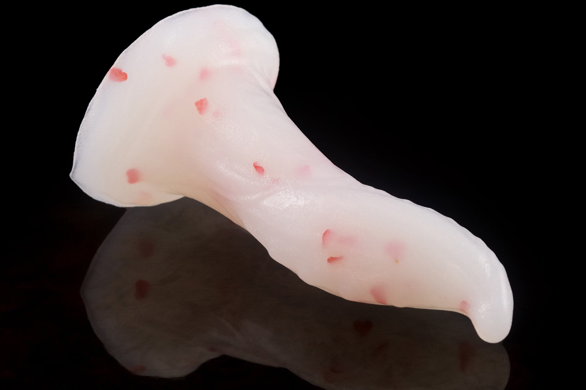 2348 Mini Humpbreak in Medium Firmness