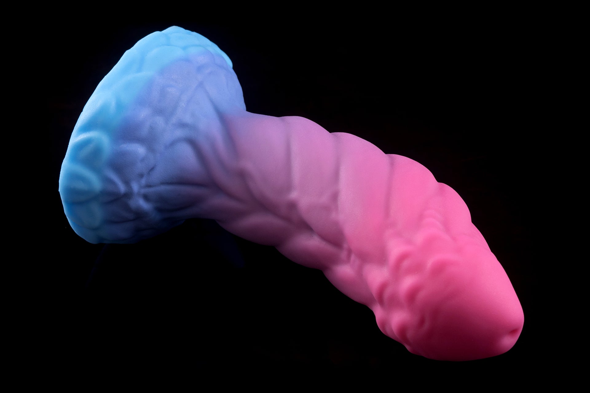 2901 Small Cortez in Medium Firmness with Suction Cup