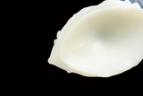 10659 XL Croxic in Soft Firmness - Fizzle