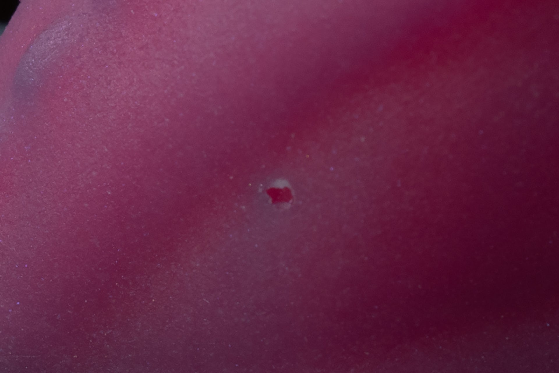 4199 Mini Croxic in Soft Firmness with Suction Cup - Fizzle