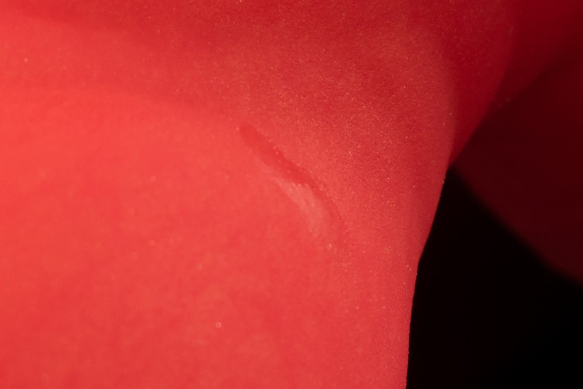 4446 Small Dante in Soft Firmness - Fizzle