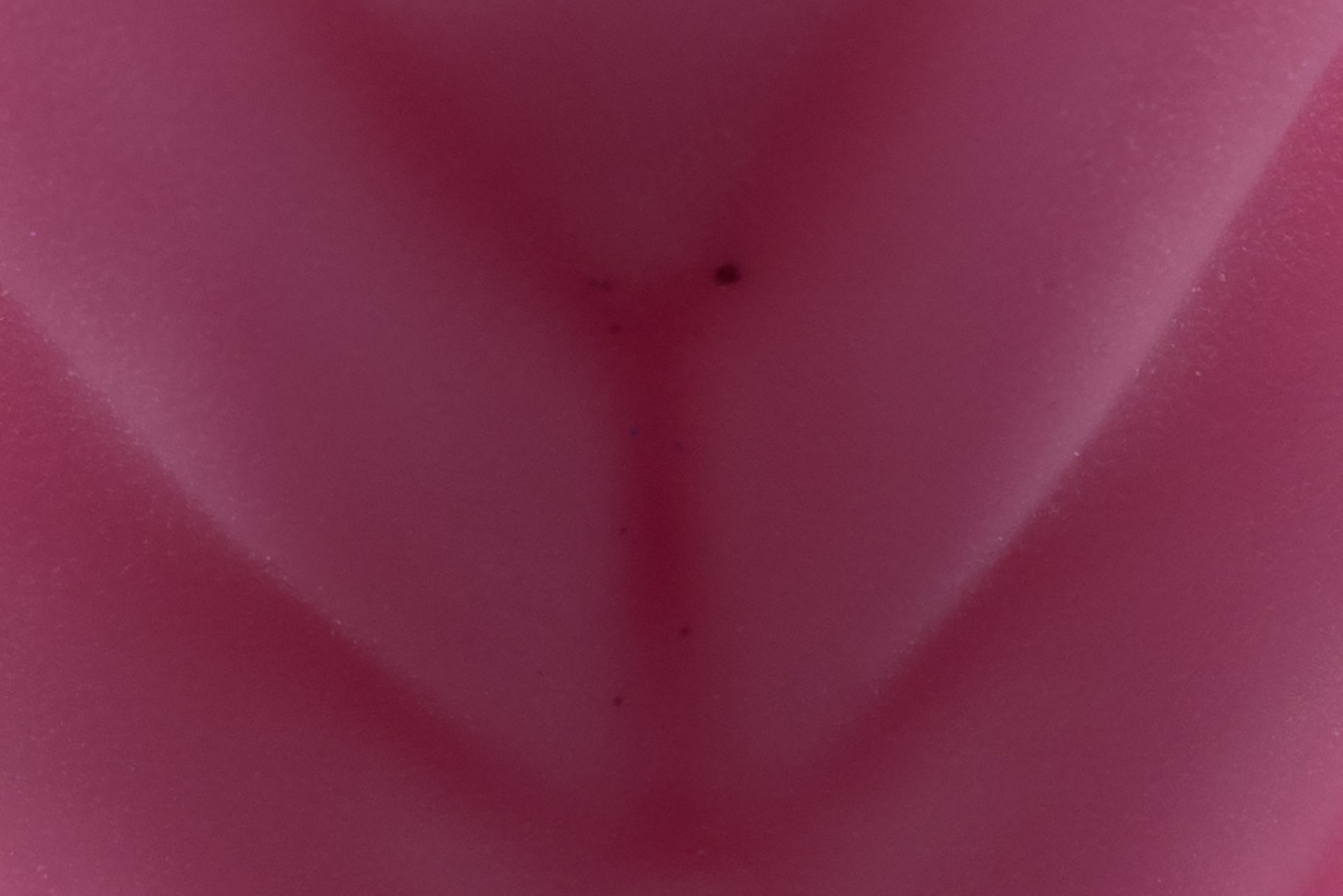4557 Medium Cortez in Medium Firmness - Fizzle