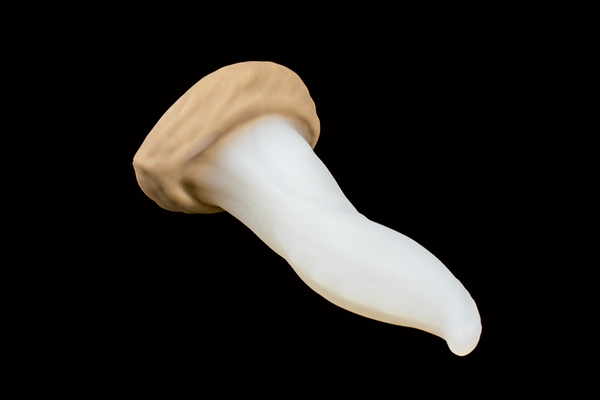 10690 Small Hidora in Soft Firmness