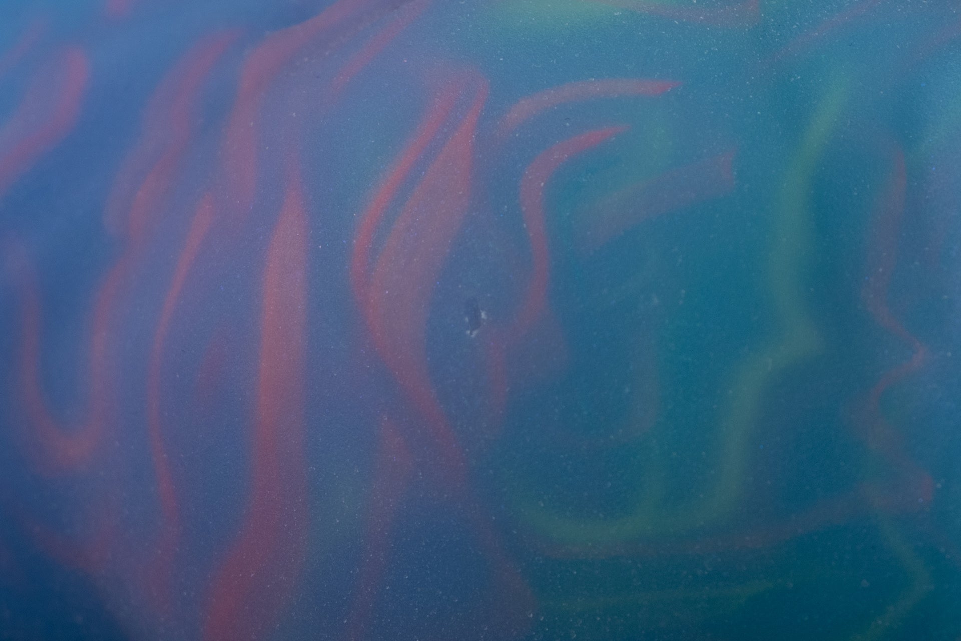 5070 Medium Dante in Medium Firmness - Fizzle