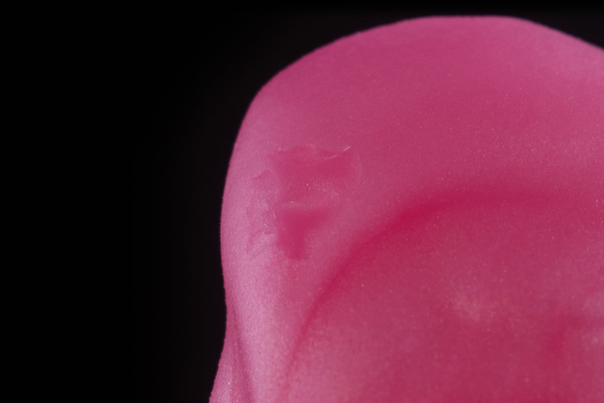 5307 Large Hidora in Medium Firmness with Suction Cup - Fizzle