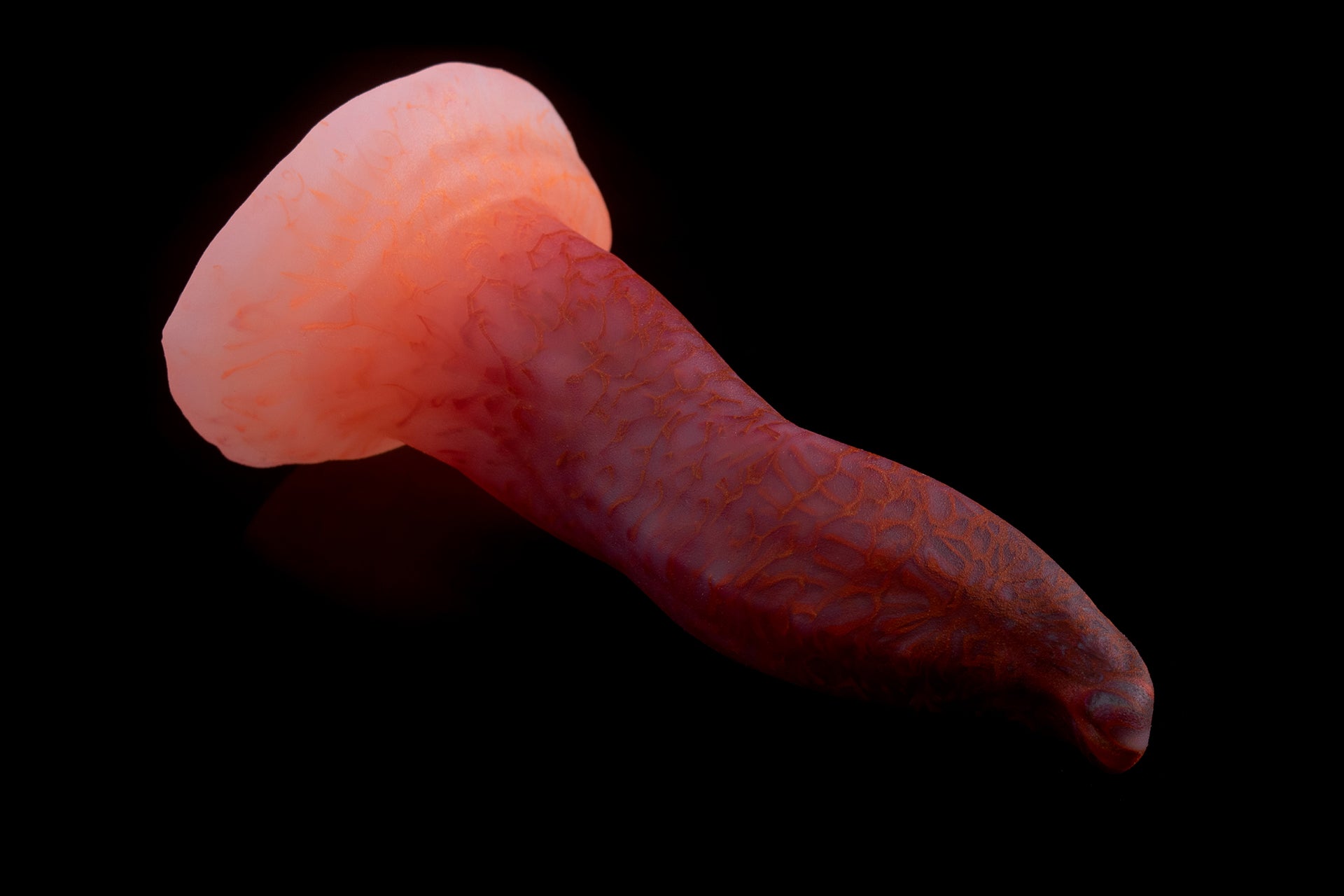 5656 Mini Hidora in Medium Firmness