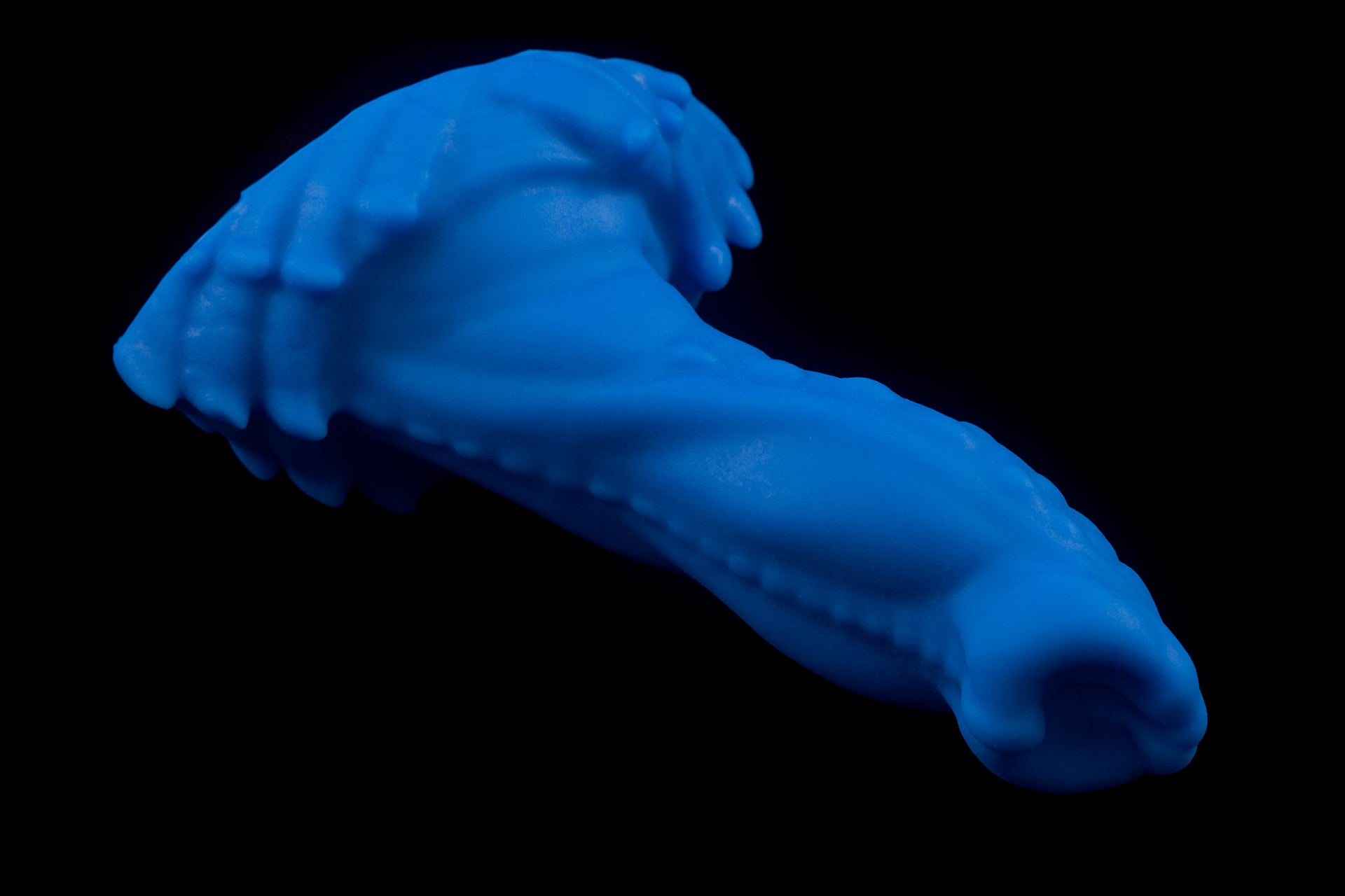 5933 Mini Croxic in Medium Firmness
