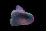 10956 Large Ash in Medium Firmness with Suction Cup - Fizzle