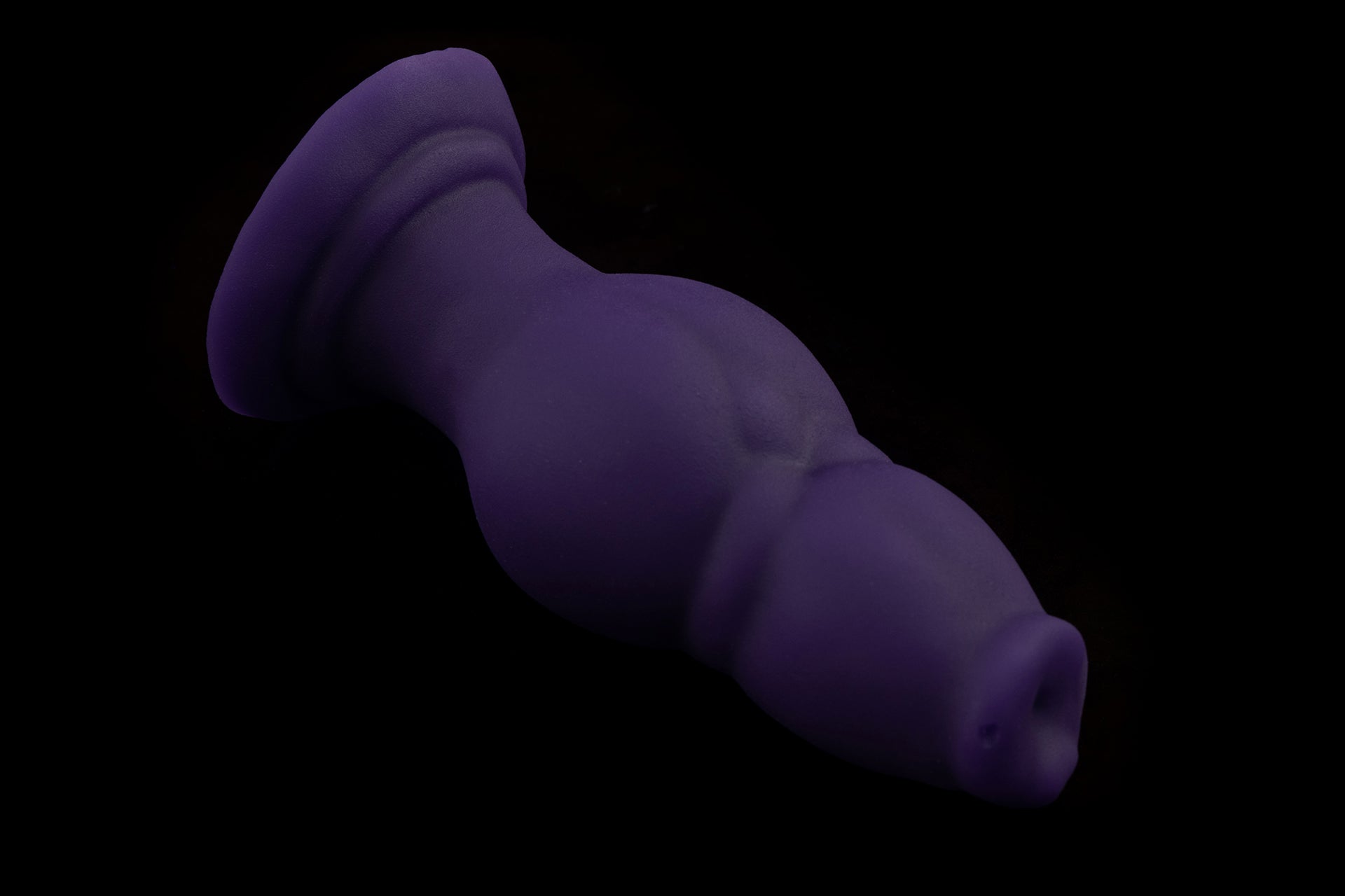 6433 Small Jake in Medium Firmness - Fizzle