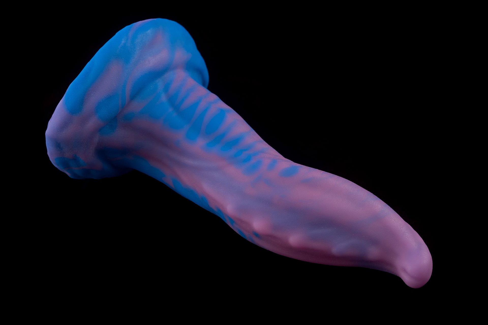 6772 Small Hidora in Medium Firmness
