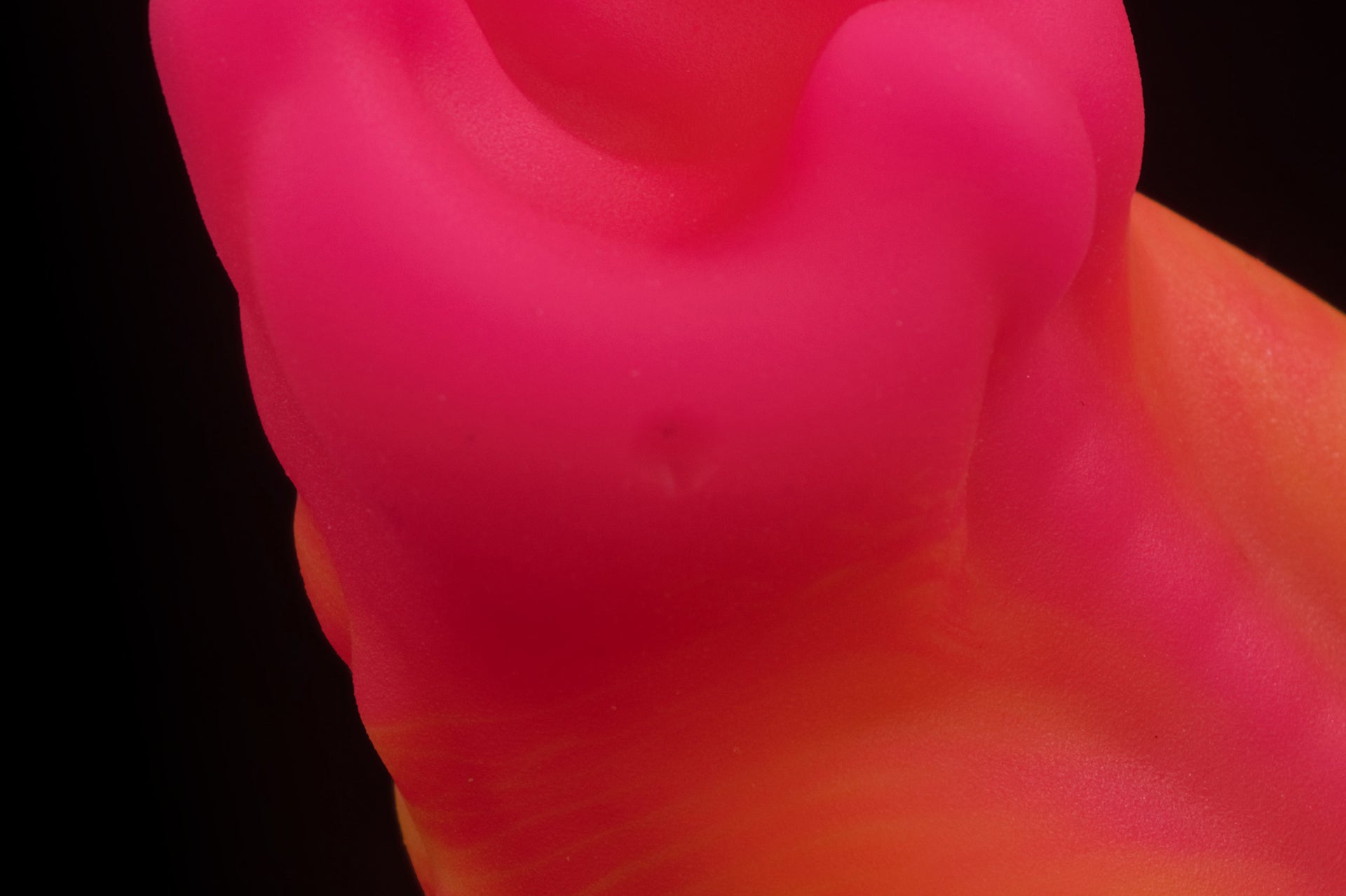 7123 Small Croxic in Medium Firmness with Suction Cup - Fizzle