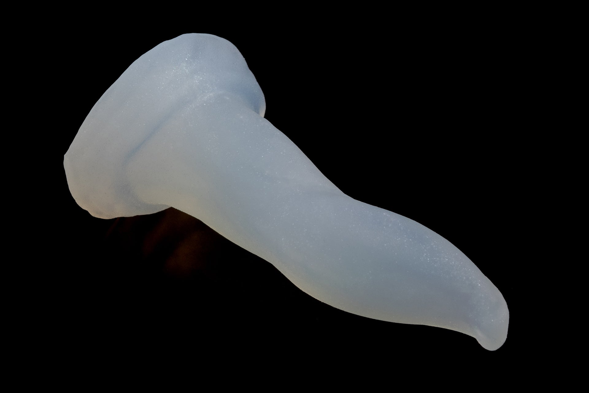 7390 Mini Hidora in Soft Firmness
