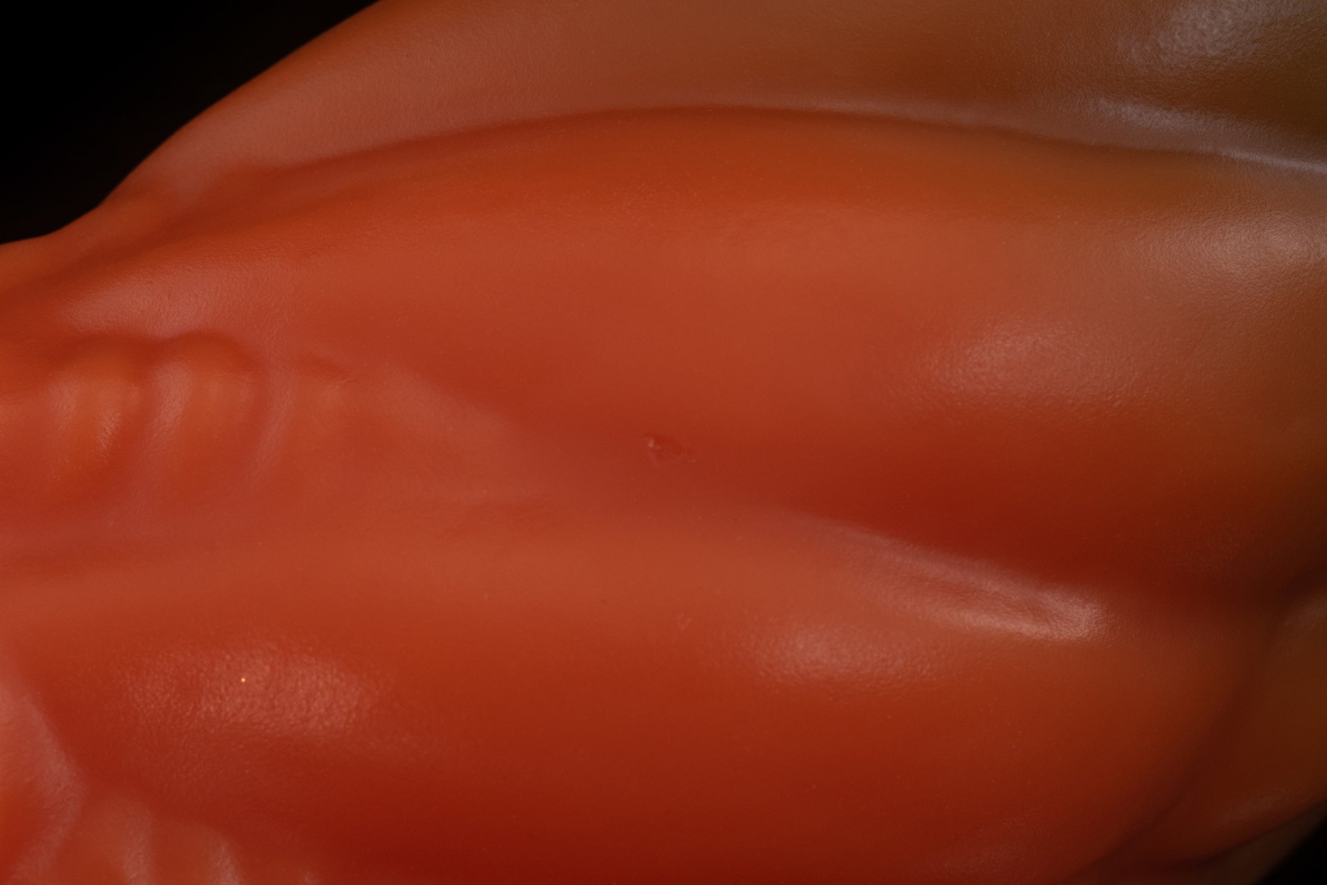 7621 XL Cortez in Firm Firmness - Fizzle