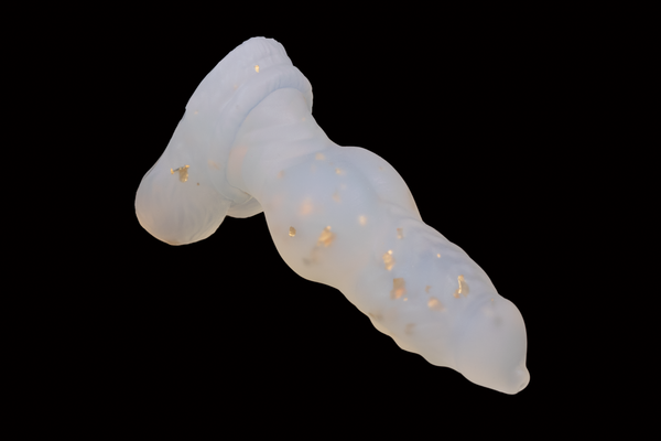 10625 Small Dante in Soft Firmness
