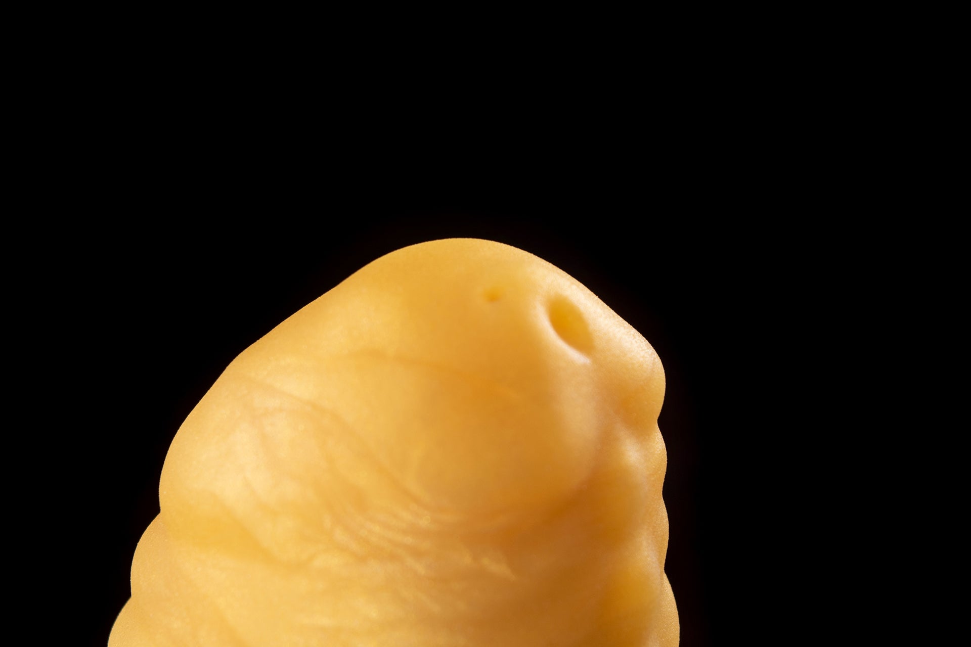 8402 Small Alto in Medium Firmness - Fizzle
