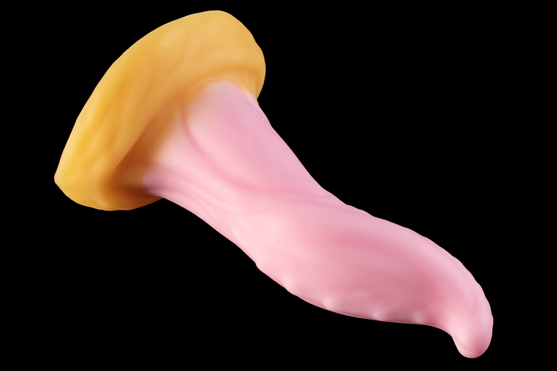 8903 Small Hidora in Medium Firmness