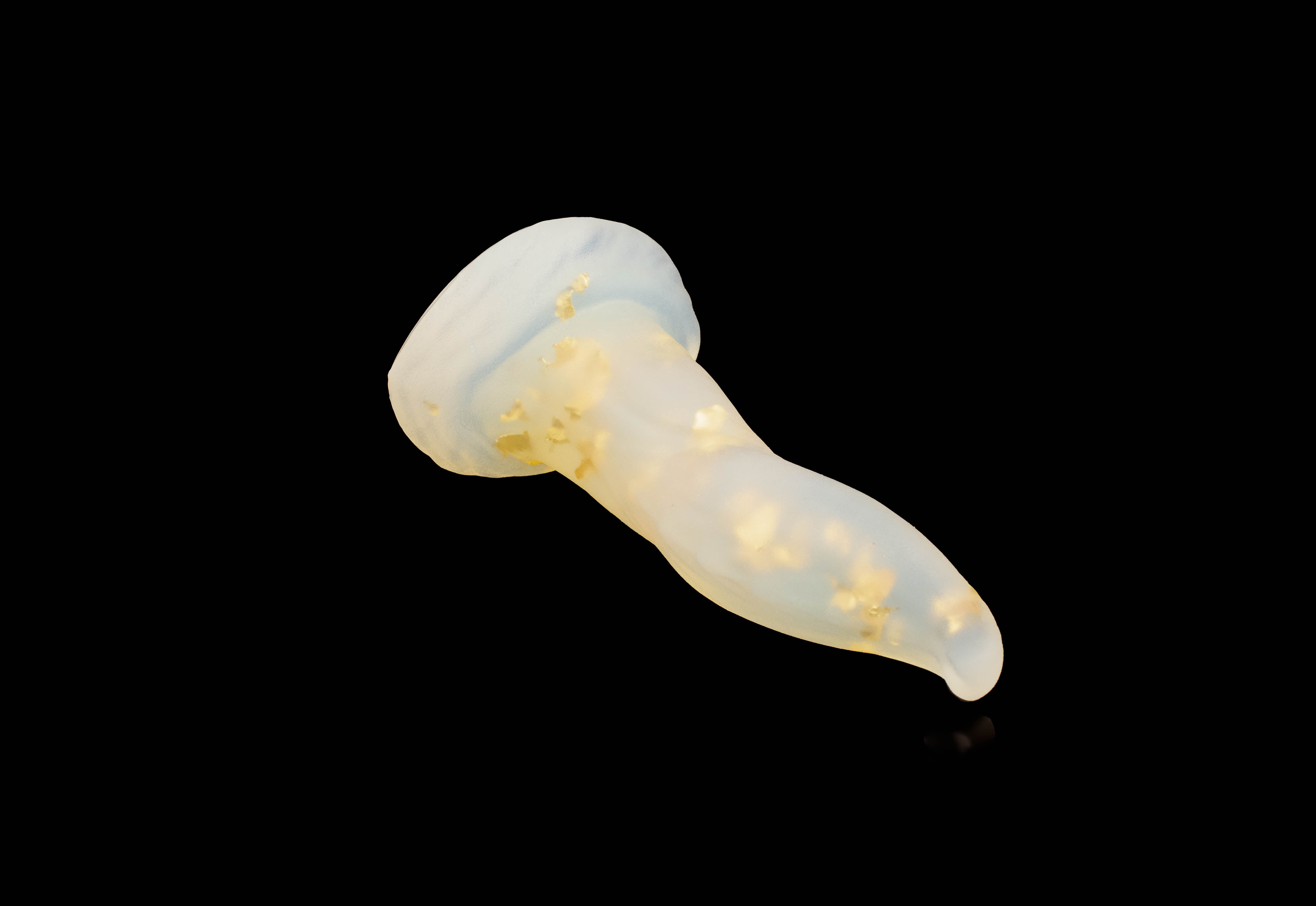 11978 Small Hidora in Medium Firmness