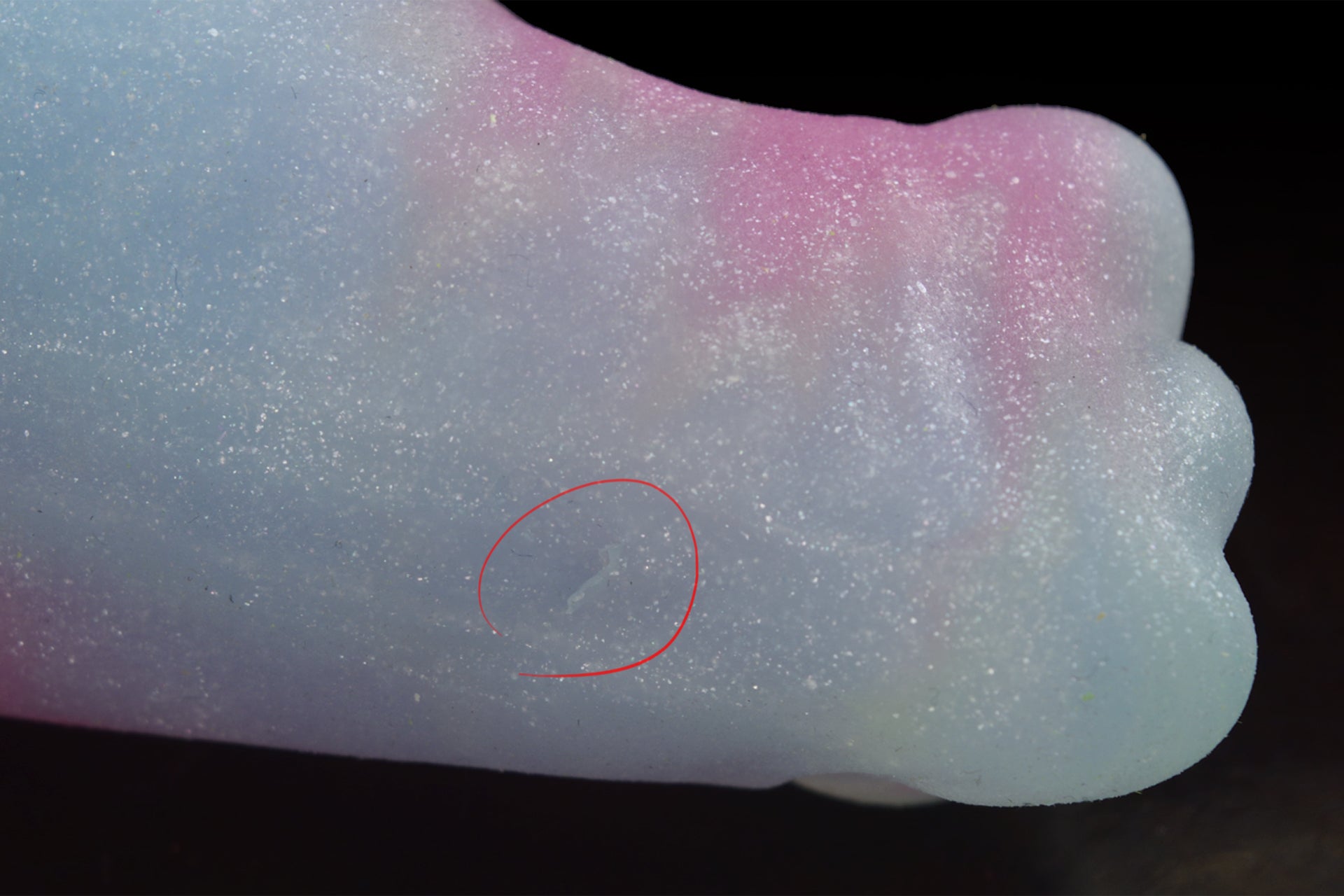 1604 Mini Hyena in Medium Firmness - Fizzle
