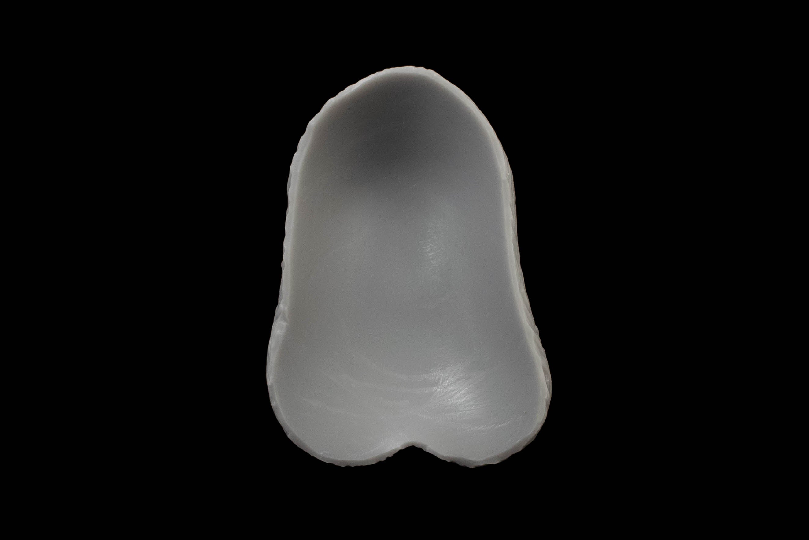 11343 Small Ash in Soft Firmness - Fizzle
